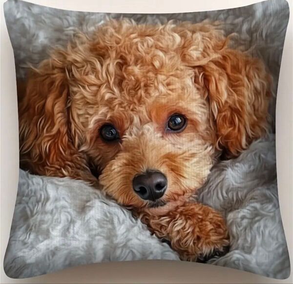 新品 50㎝×50㎝ クッションカバー プードル 犬 いぬ ポリエステル素材 薄手 プリント柄