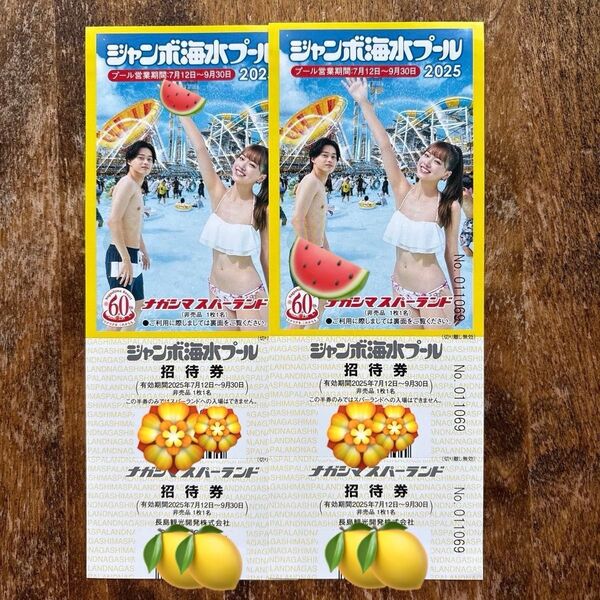 ナガシマスパーランド ジャンボ海水プール 大人2名様 匿名配送
