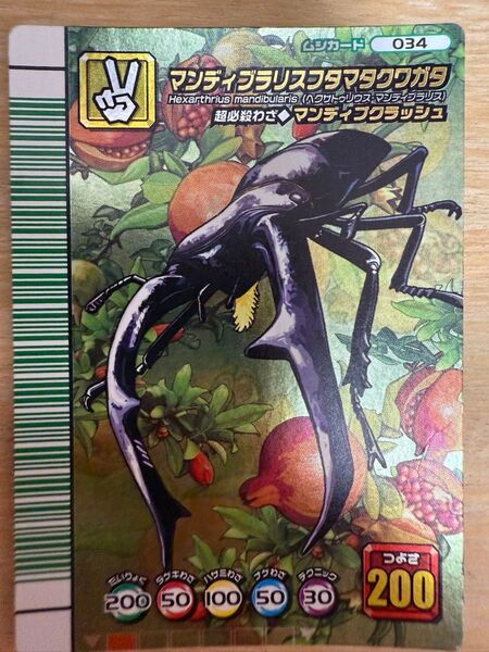 ムシキング マンディブラリスフタマタクワガタ 5周年 甲虫王者ムシキング