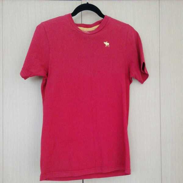 アバクロンビー&フィッチ 半袖Tシャツ M