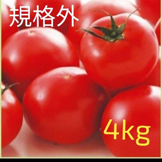 規格外 訳あり 農家産 朝どれ発送 トマト とまと 旬 野菜 4kg