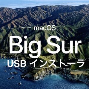mac OS Big Sur 11.7.10 インストールUSBメモリ 起動ディスク インストーラー