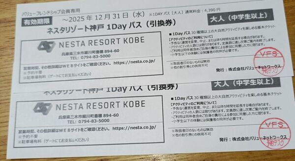 ネスタリゾート神戸1dayパスポート大人券2枚セット