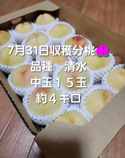 あらかわの桃 中玉15玉 和歌山県産 新鮮 品種清水