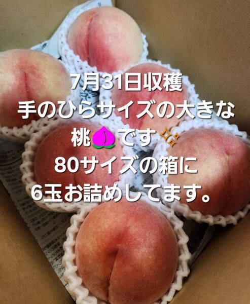 あらかわの桃 和歌山県産 特大サイズ 6玉 桃