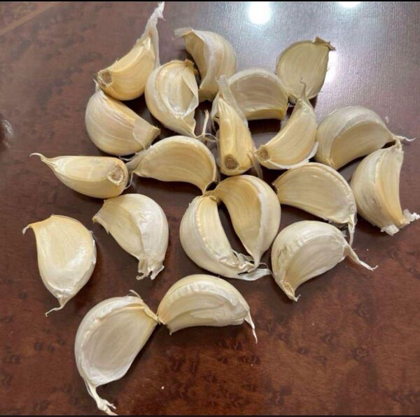 にんにく種 葉にんにく種 ニンニク 大蒜20片