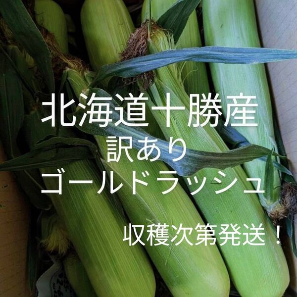 北海道十勝産訳ありゴールドラッシュ、トウモロコシ、とうもろこし