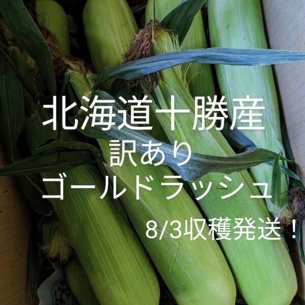北海道十勝産訳ありゴールドラッシュ、トウモロコシ、とうもろこし