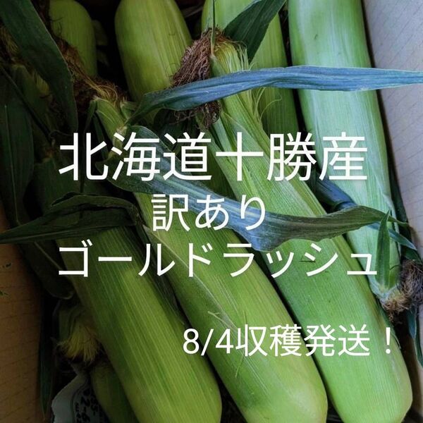 北海道十勝産訳ありゴールドラッシュ、トウモロコシ、とうもろこし