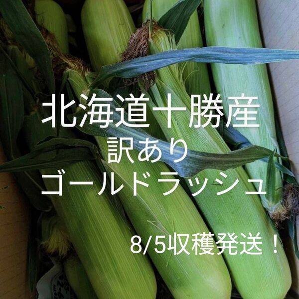 北海道十勝産訳ありゴールドラッシュ、トウモロコシ、とうもろこし