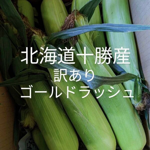 北海道十勝産訳ありゴールドラッシュ、スイートコーン
