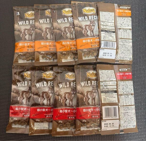 ニュートロ ワイルドレシピ 成犬用 ドッグフード ドライフード 総合栄養食 ビーフ サーモン