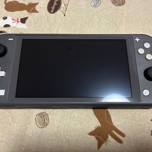 24日23時まで【液晶交換品】Switch light グレー