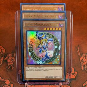 遊戯王【英語版】ブラック・マジシャン・ガール ウル 3枚セット!