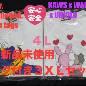 3XL☆新品☆UNIQLO×KAWS+WARHOL カウズ+ウォーホル 2枚
