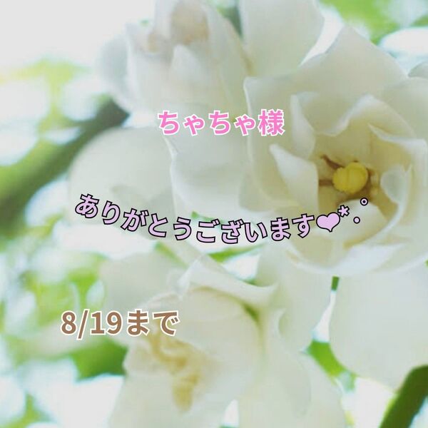 ちゃちゃ様 おまとめパーツ(o^^o)