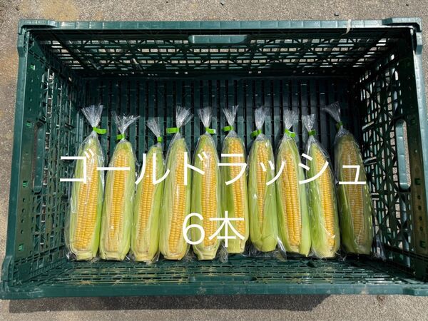 とうもろこし ゴールドラッシュ 5本