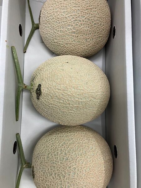 特選アールスメロン(マスクメロン)秀品 3玉入り】です!