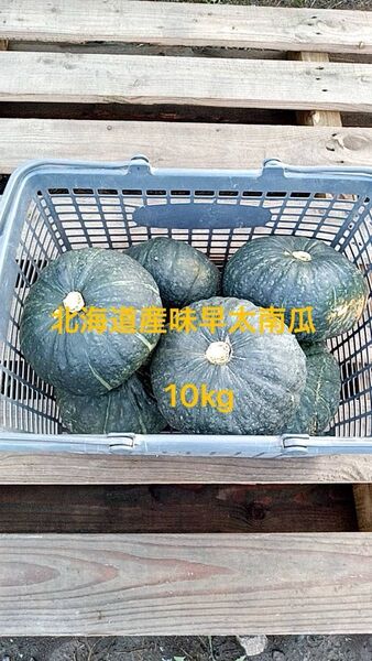 北海道産味早太南瓜 10kg