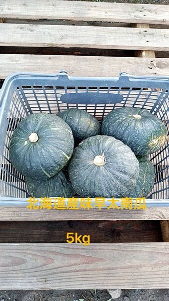 北海道産味早太南瓜 5kg