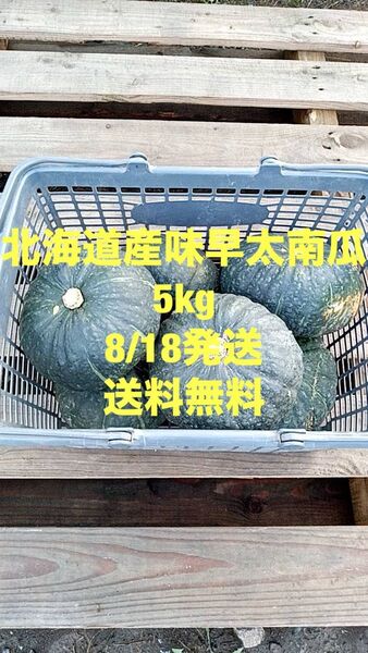 北海道産味早太南瓜 5kg