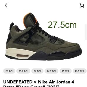 【新品未使用】UNDEFEATED × Nike Air Jordan 4 "Deep Green" (2025) 27.5cm