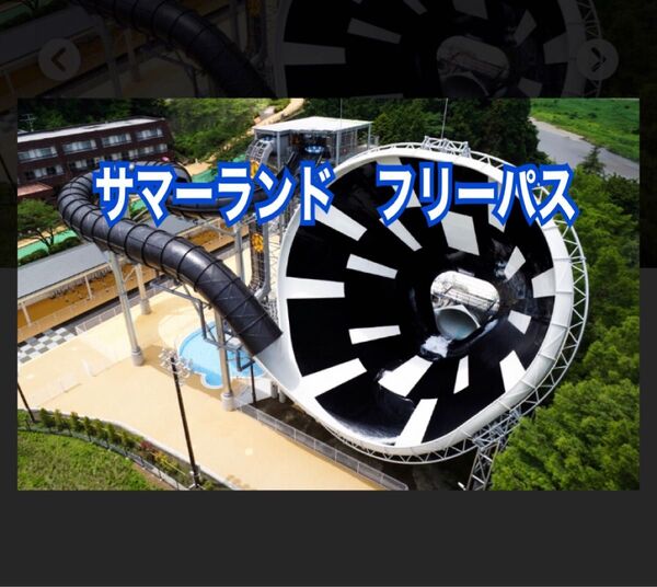 サマーランド 1dayパス 16枚セット 夏券 即日匿名発送