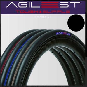 アジリスト 25c 1本