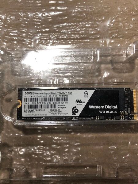 Western Digital WDS500G2X0C