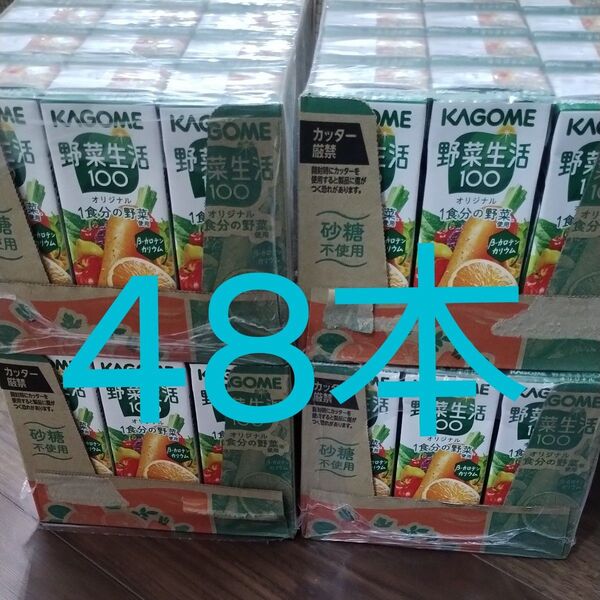 48本 カゴメ 野菜生活100 200ml 野菜ジュース 栄養補給ドリンク 砂糖不使用 紙パック