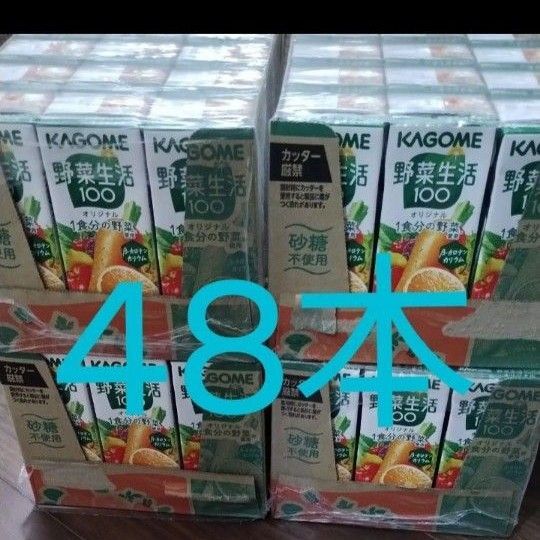 48本 カゴメ 野菜生活100 200ml 野菜ジュース 栄養補給ドリンク 砂糖不使用 紙パック