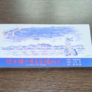 地平線の見える場所で c/w Marry Us Tonight 亜寿香