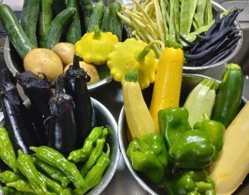 野菜詰め合わせセット 70サイズいっぱい