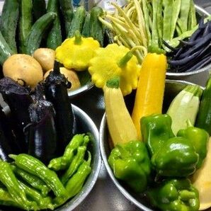 野菜詰め合わせセット 70サイズいっぱい