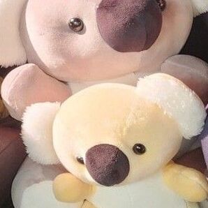 ぬいぐるみ コアラ