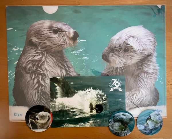 鳥羽水族館 ラッコ メイ、キラ シールステッカー、クリアファイル、ポストカード セット