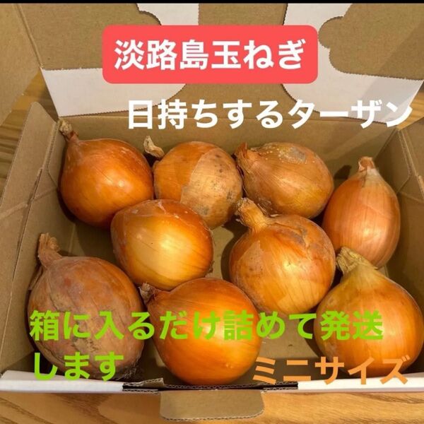 淡路島玉ねぎ*二等品*ターザン