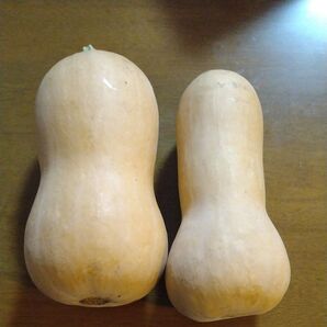 バターナッツカボチャ 群馬県産 1.8kg