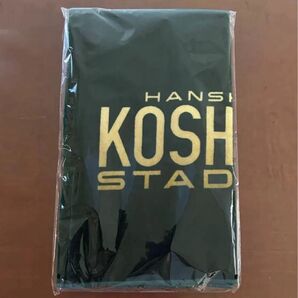 甲子園球場100周年フェイスタオル