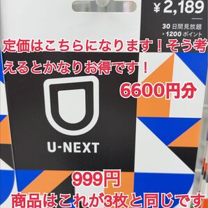 U-NEXT ユーネクスト3枚セット19800円分 9ヶ月無料10800ポイント付与 3〜4人利用可能 映画館6本無料アダルト