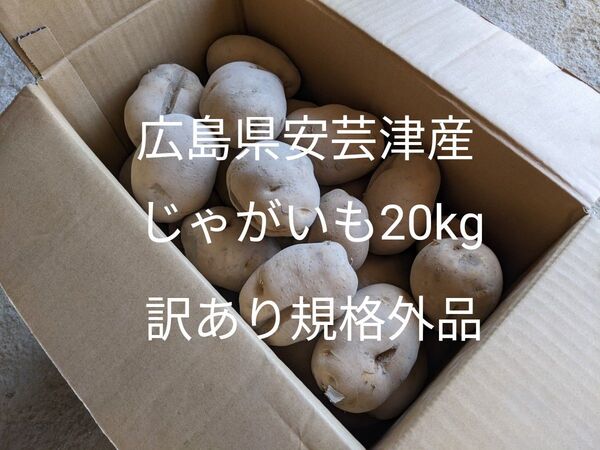 広島県安芸津産じゃがいも20kg 訳あり規格外品
