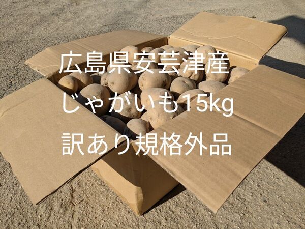 広島県安芸津産じゃがいも15kg 訳あり規格外品