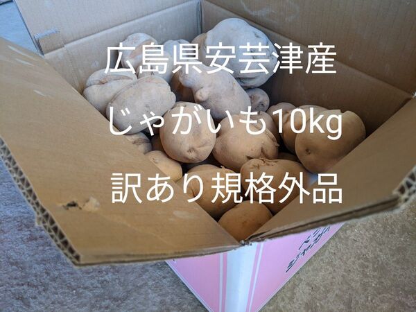広島県安芸津産じゃがいも10kg 訳あり規格外品