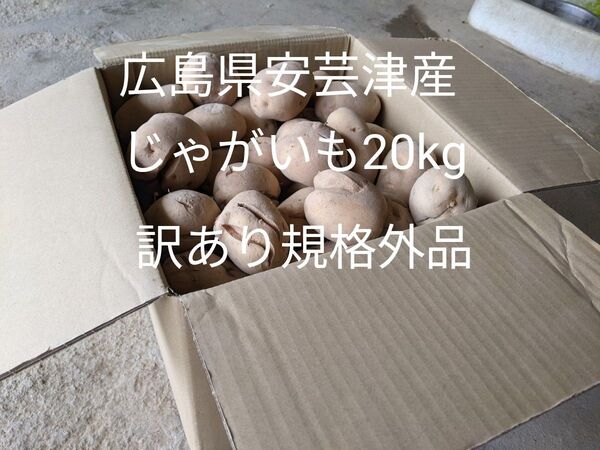 広島県安芸津産じゃがいも20kg 訳あり規格外品