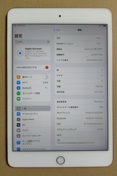 セール iPad mini 第5世代 Wi-Fi SIMフリー モード 256GB バッテリー 85%