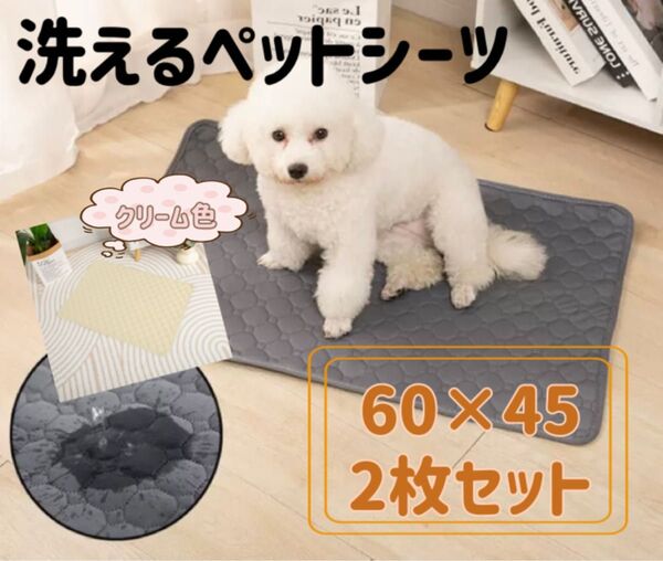 ペットシーツ 犬 洗える 防水 トイレシート 吸水 ペット クリームカラー 2枚