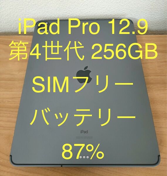 iPad Pro 12.9インチ 第4世代 Cellular SIMフリー 256GB スペースグレイ ケース付き 動作確認済み