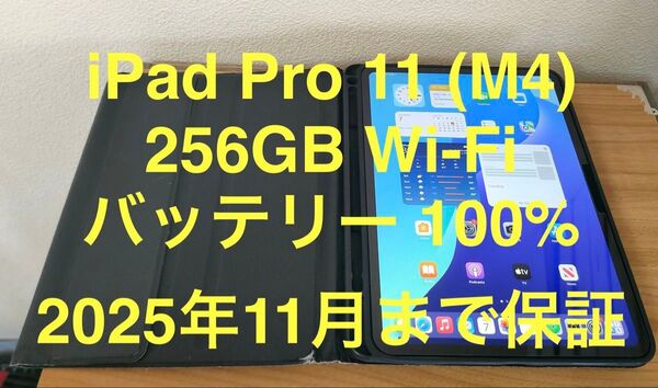 【保証残り】iPad Pro 11インチM4 第5世代 Wi-Fiモデル 256GB スペースブラック ケース付き 動作確認済み