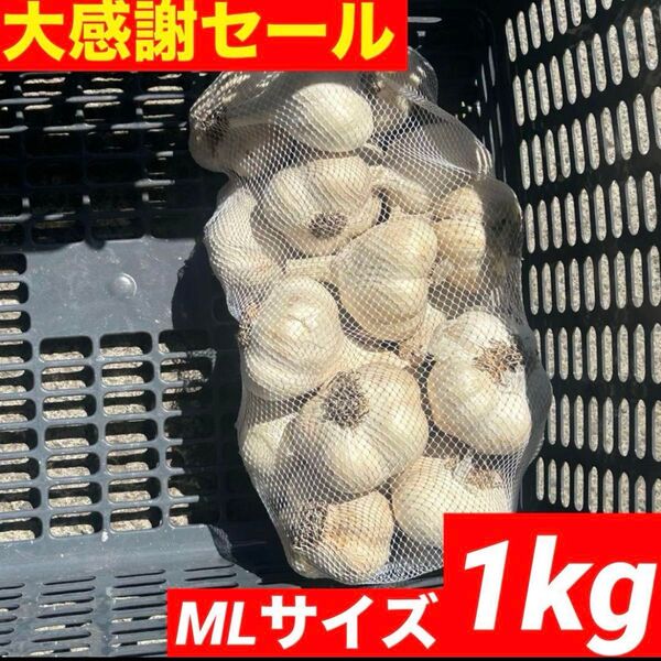 【大感謝セール】新物 青森県産 にんにく ML 1kg福地ホワイト六片