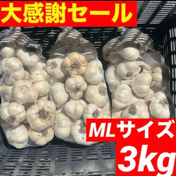 【大感謝セール】新物 青森県産 にんにく ML 3kg福地ホワイト六片